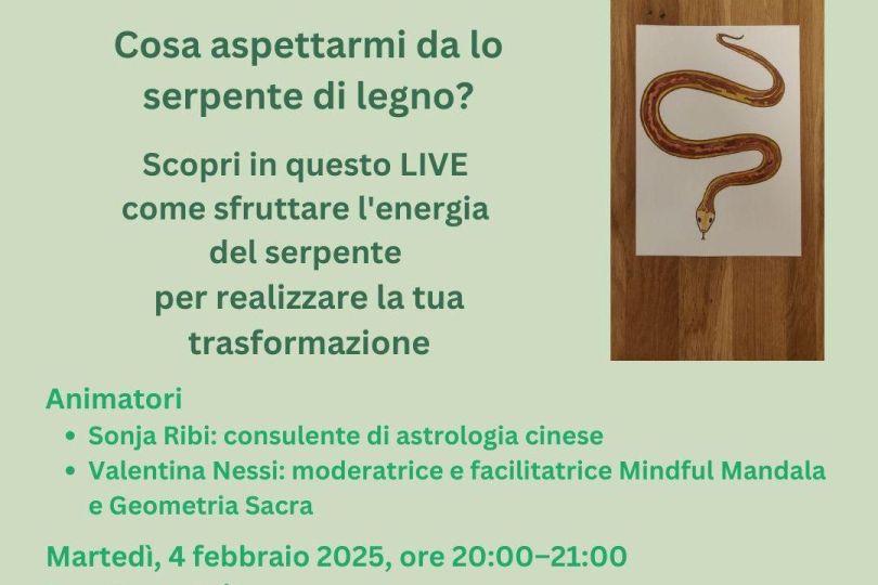 Astrologia cinese: l’energia del serpente di legno 