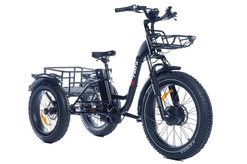 Triciclo elettrico E Fati T 48V Batteria da 960Wh, Pregassona Kostenlose Kleinanzeigen in der Schweiz