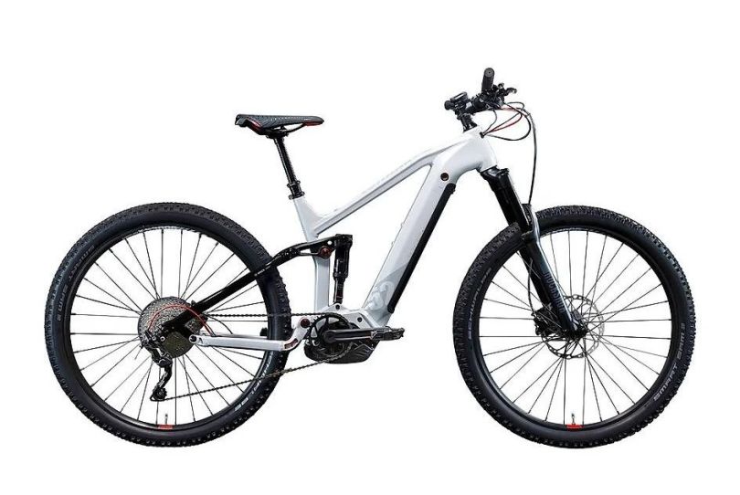 FULL RAMPICHINO BOSCH 85Nm Lombardo Sport, Pregassona Kostenlose Kleinanzeigen in der Schweiz